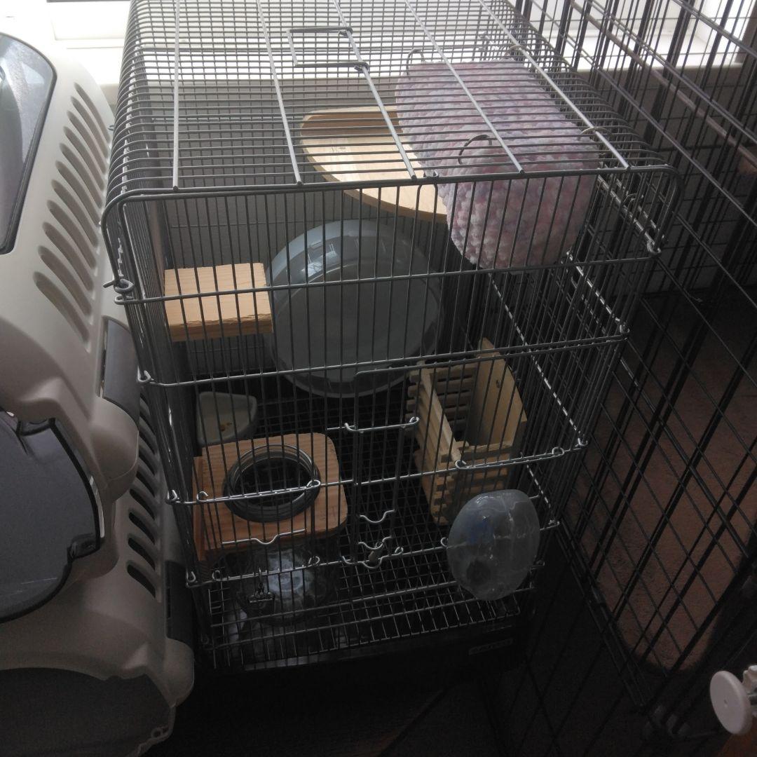 SANKO イージーホーム37ハイ BK ブラック