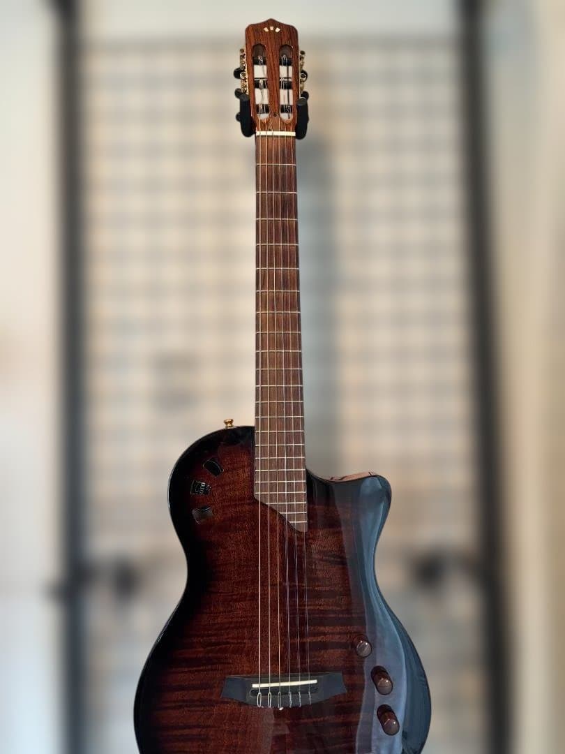 Cordoba STAGE エレガット 動作確認済み 純正ギグバック付き