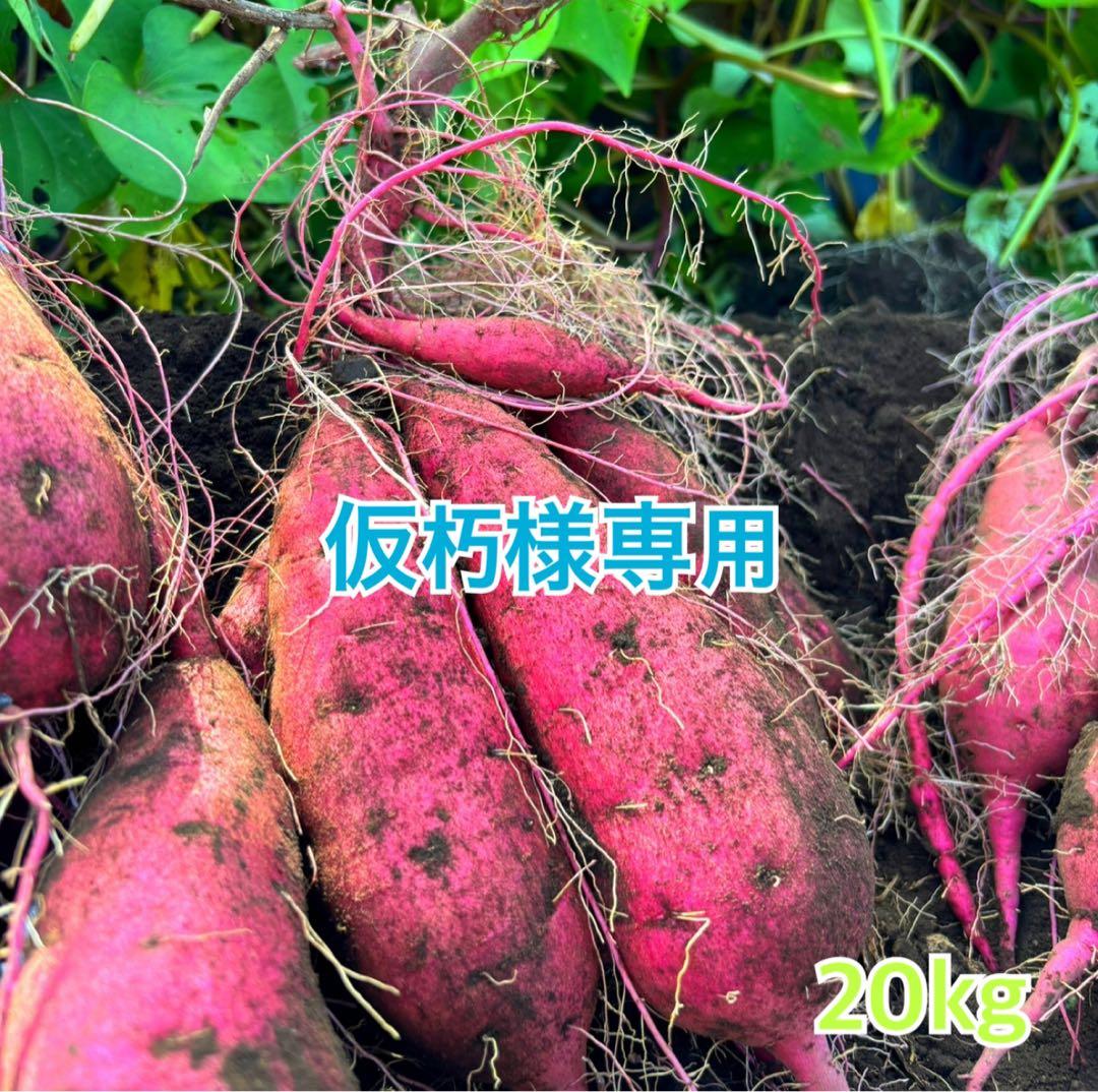 熊本県産さつまいも 紅はるか 自然栽培 20kg 2/5（木）着 専用ページ