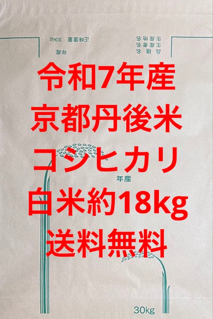 送料無料 令和7年産 京都丹後米 コシヒカリ 白米 約18kg
