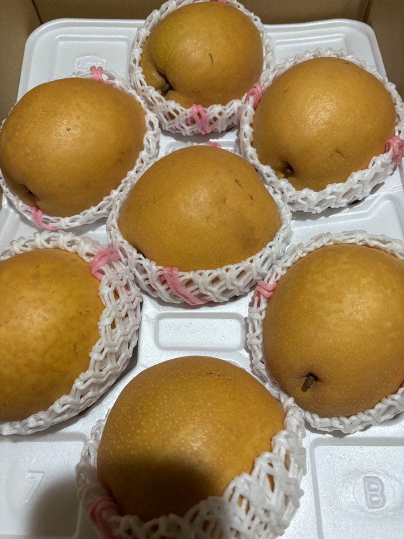 月夜見