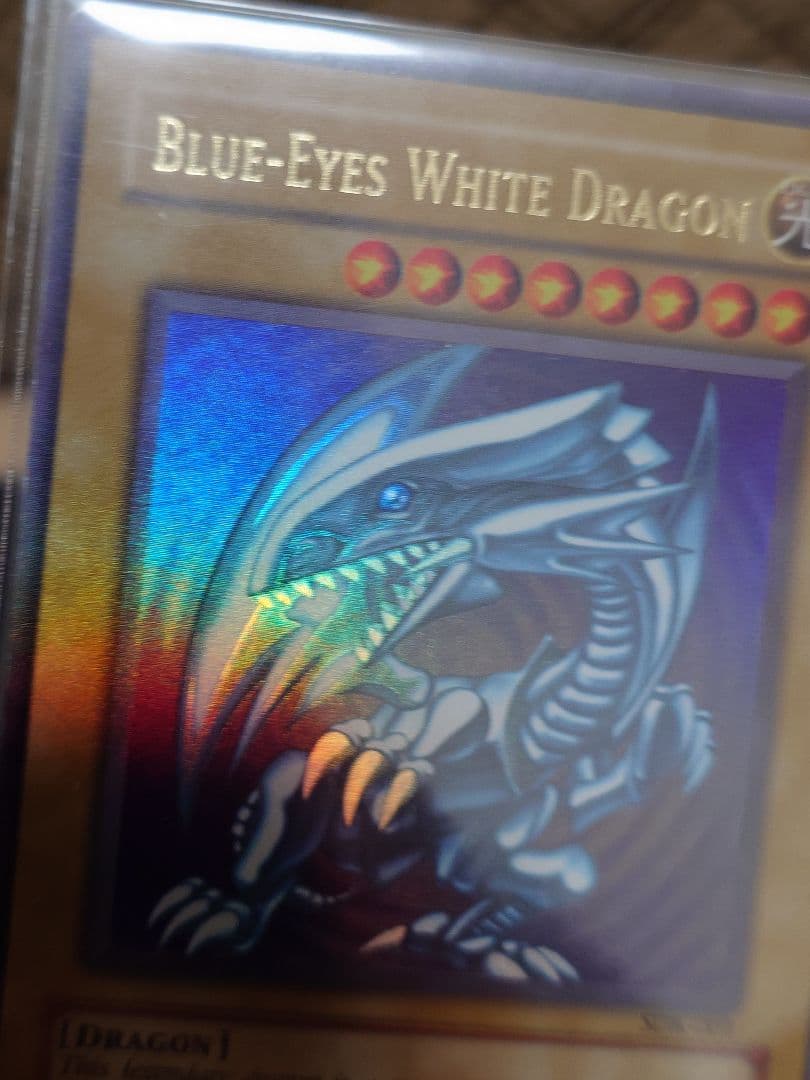 青眼の白龍sdk　全面光沢