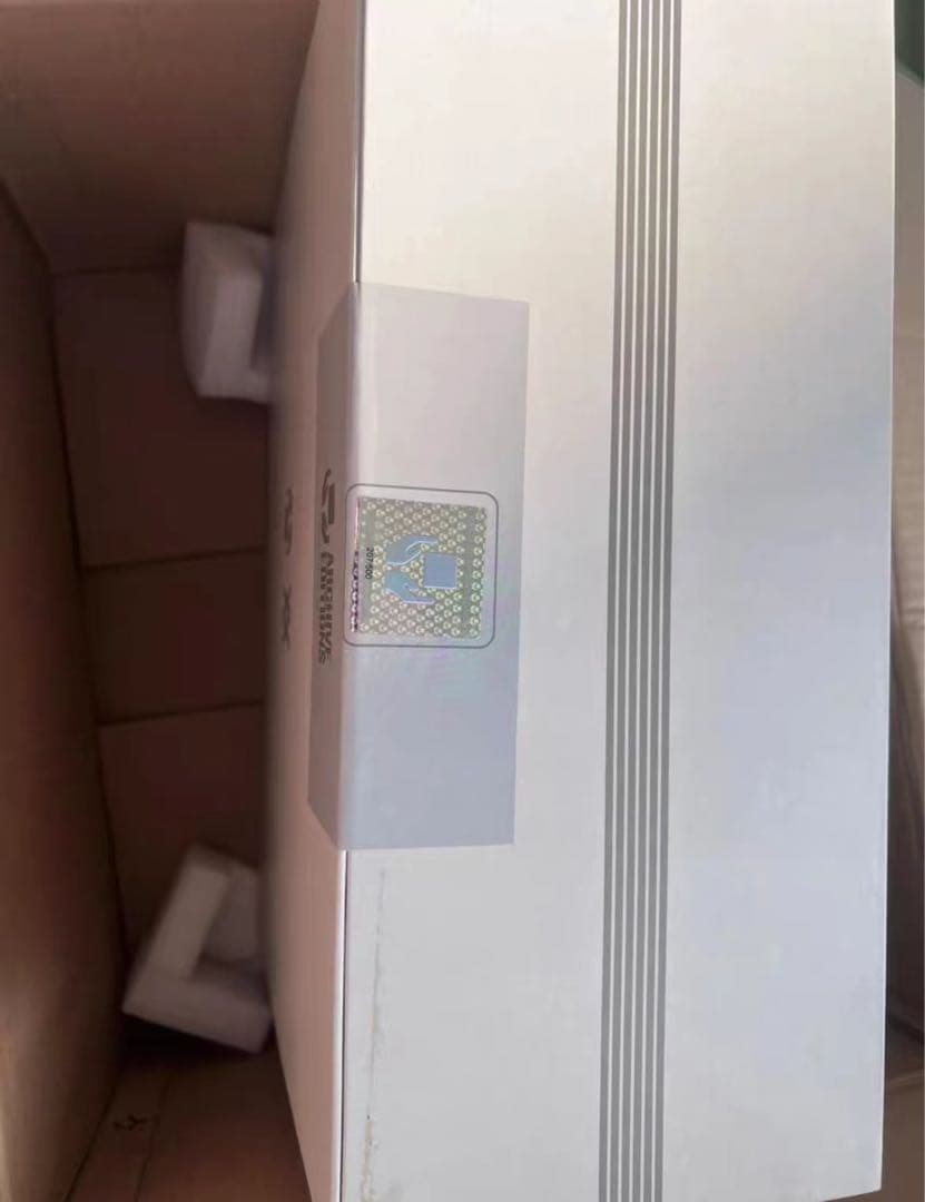 ダニエル・アーシャム限定版「侵食されたデロリアン」自動車彫刻