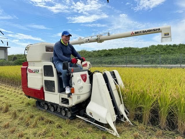 6年産　古米　兵庫播州れんげ米　きぬむすめ　精米　極1等米３0Kg　農直送料無料