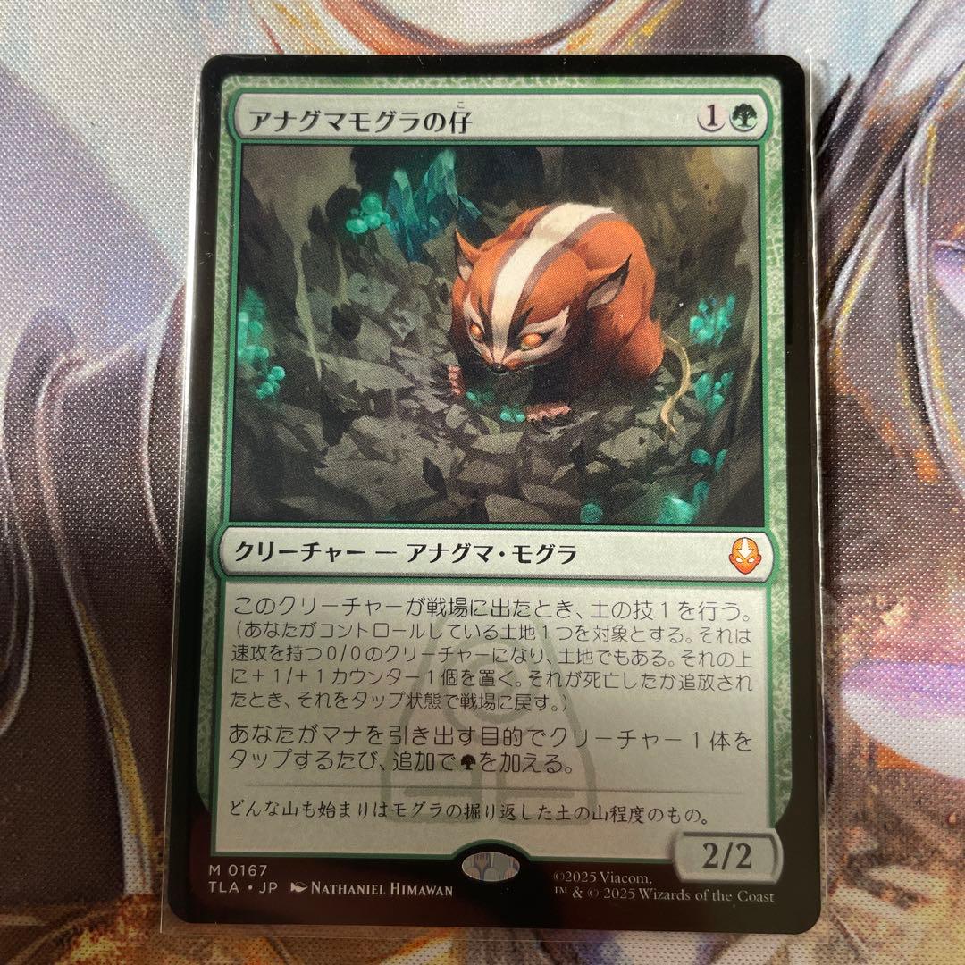 MTG アナグマモグラの仔 / Badgermole Cub