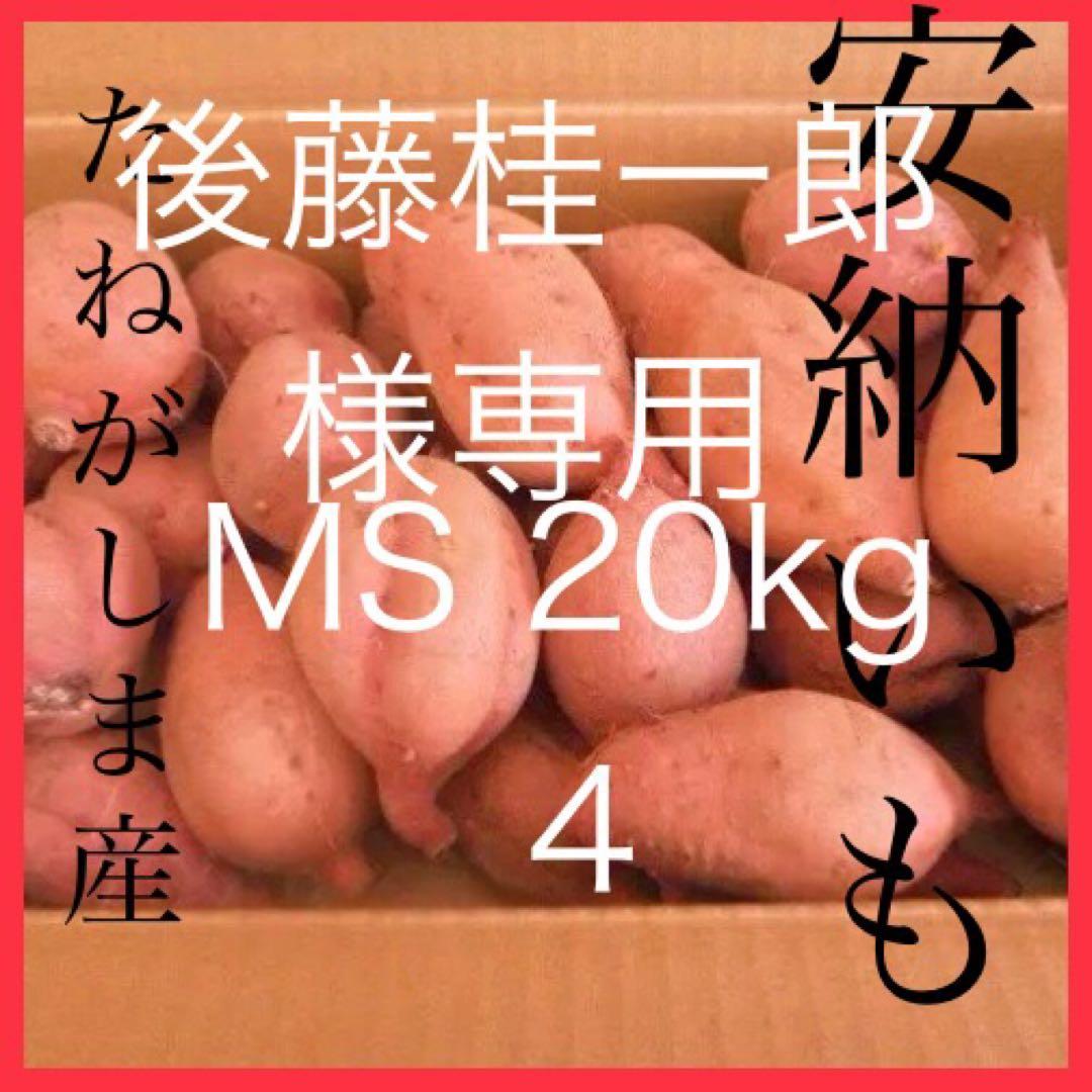 さつまいも 20kg MSサイズ ねがしま産　安納芋　種子島直送　4