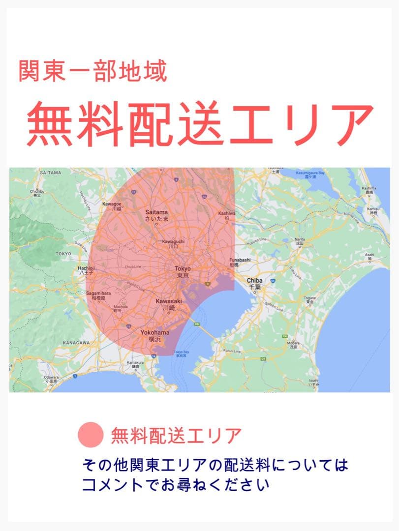 Pokemonギュットクルーム2019年モデル⭐️子供乗せ電動自転Y3073