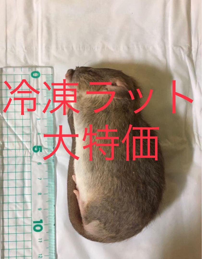 冷凍ML100匹