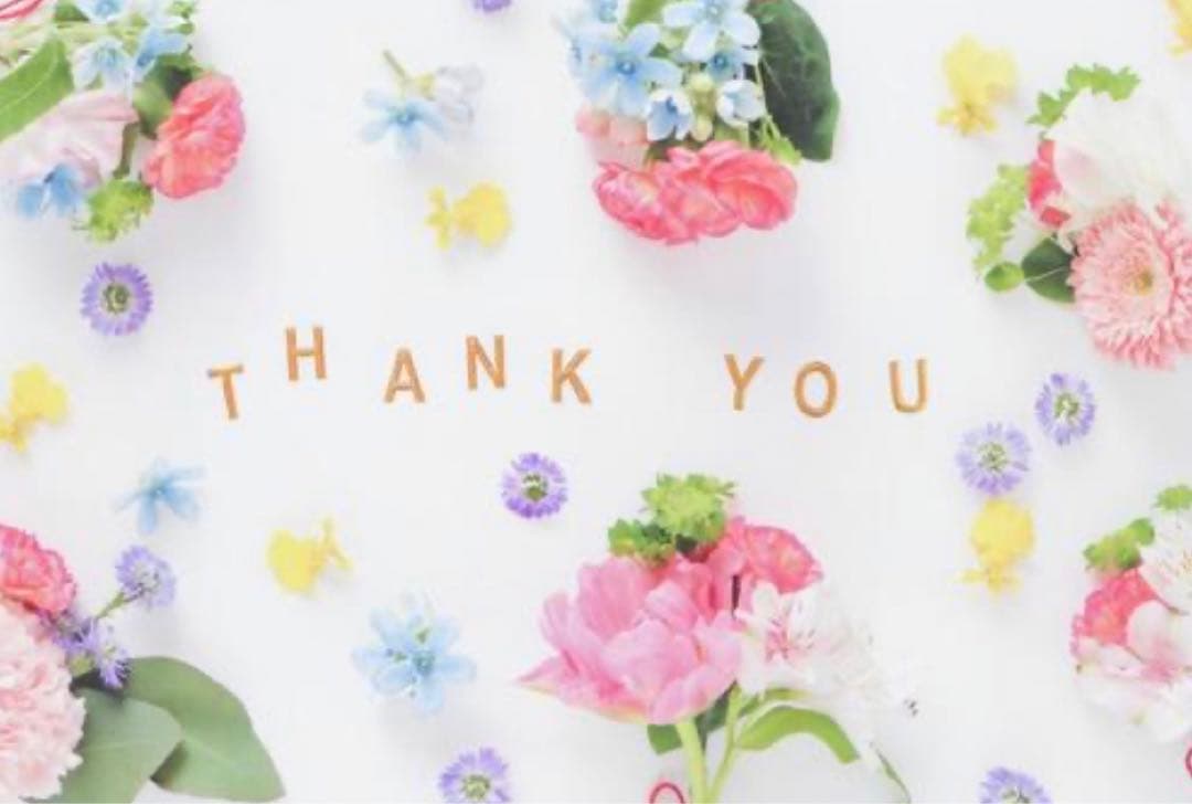 C337.【1ループ切り売り】柠檬树 奶糖猫 マスキングテープ 水晶PET