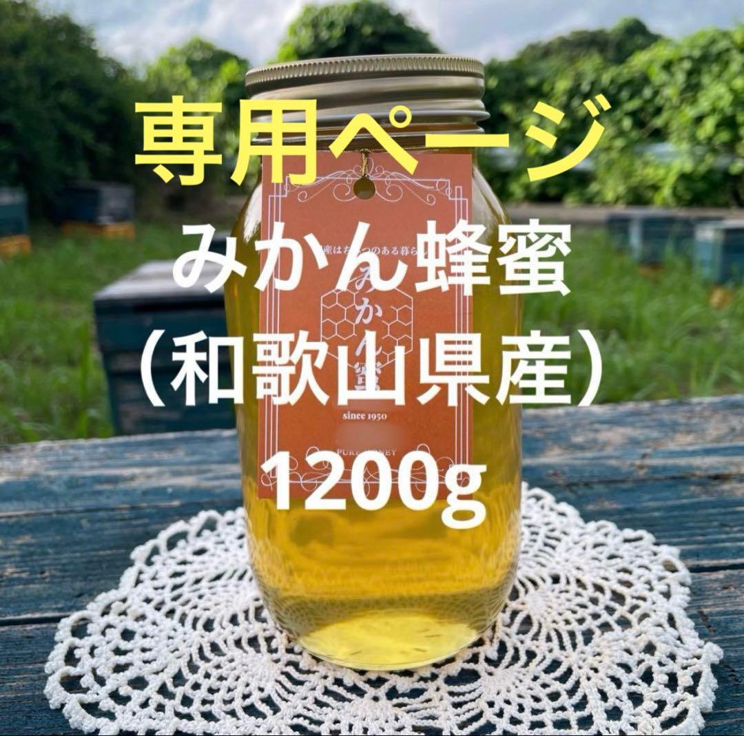 【イッキチ】