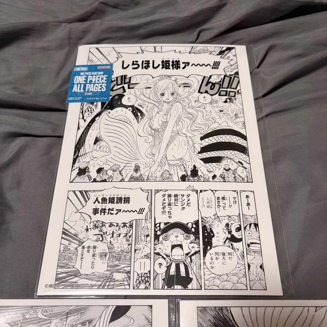 ONE PIECE ALL PAGES（B5） 魚人島編　しらほし　3枚セット