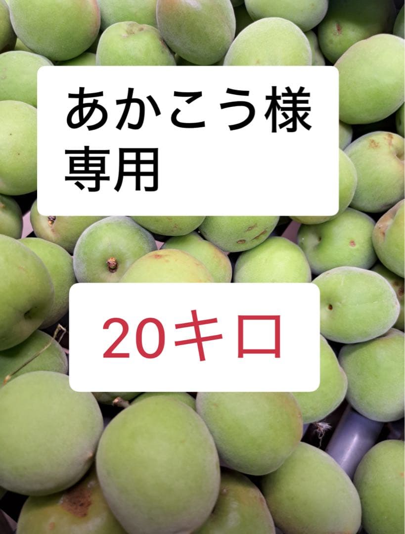 あかこう