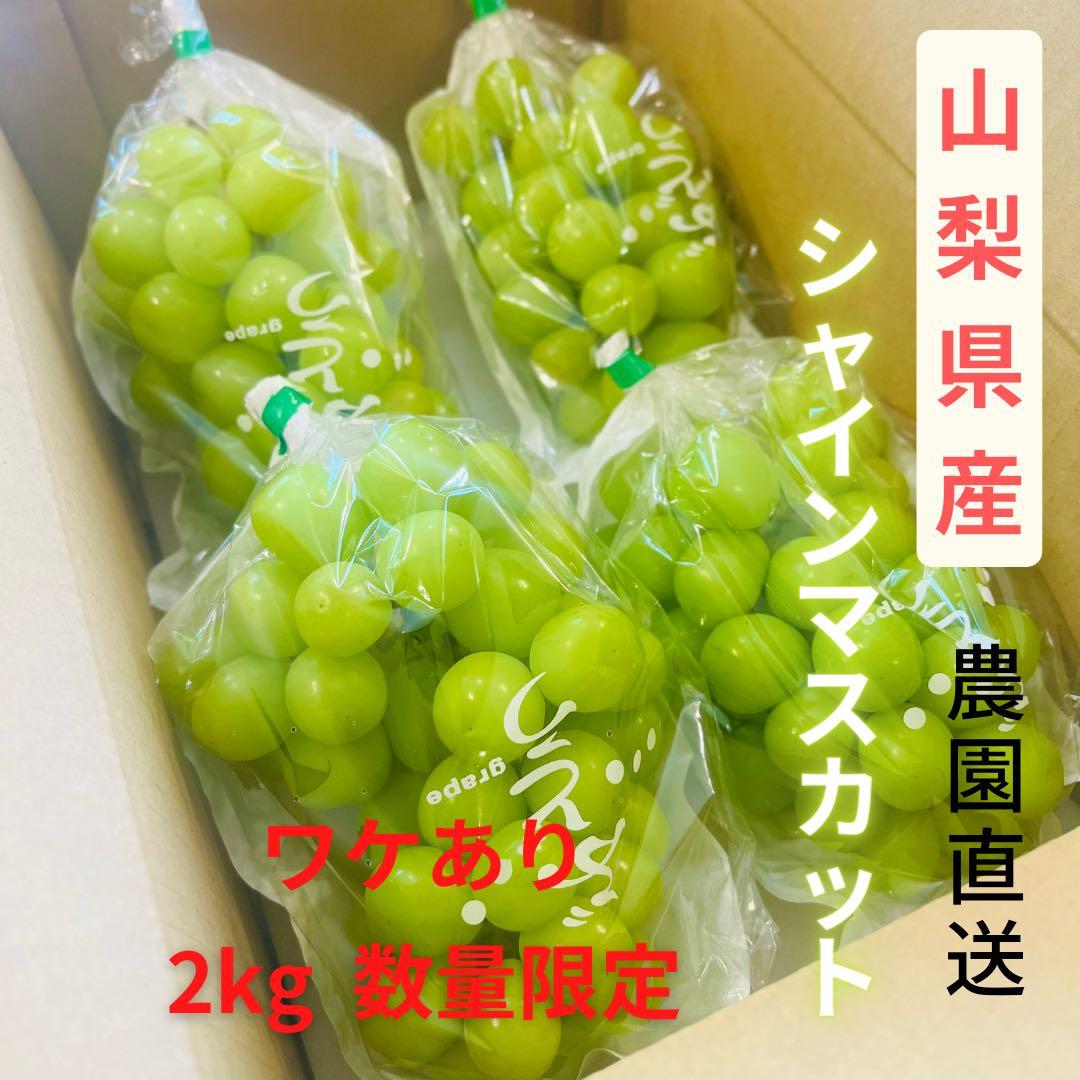 様
