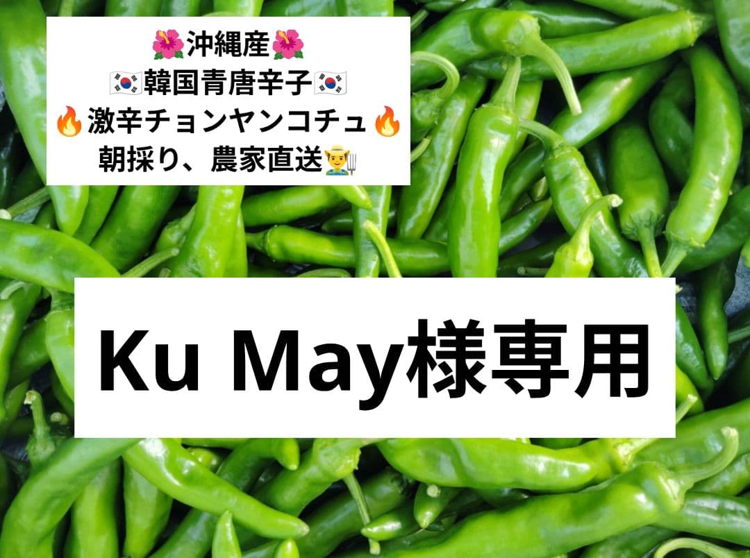 Ku May☆韓国青唐辛子☆激辛チョンヤンコチュ10kg