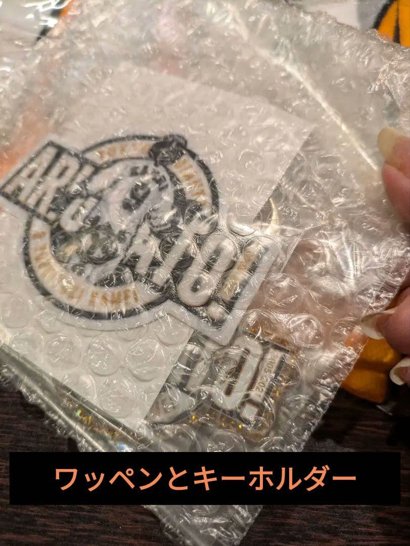 新品未開封亀井善行グッズセット