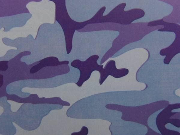 アンディ・ウォーホル、#1 Kamouflagemalningar