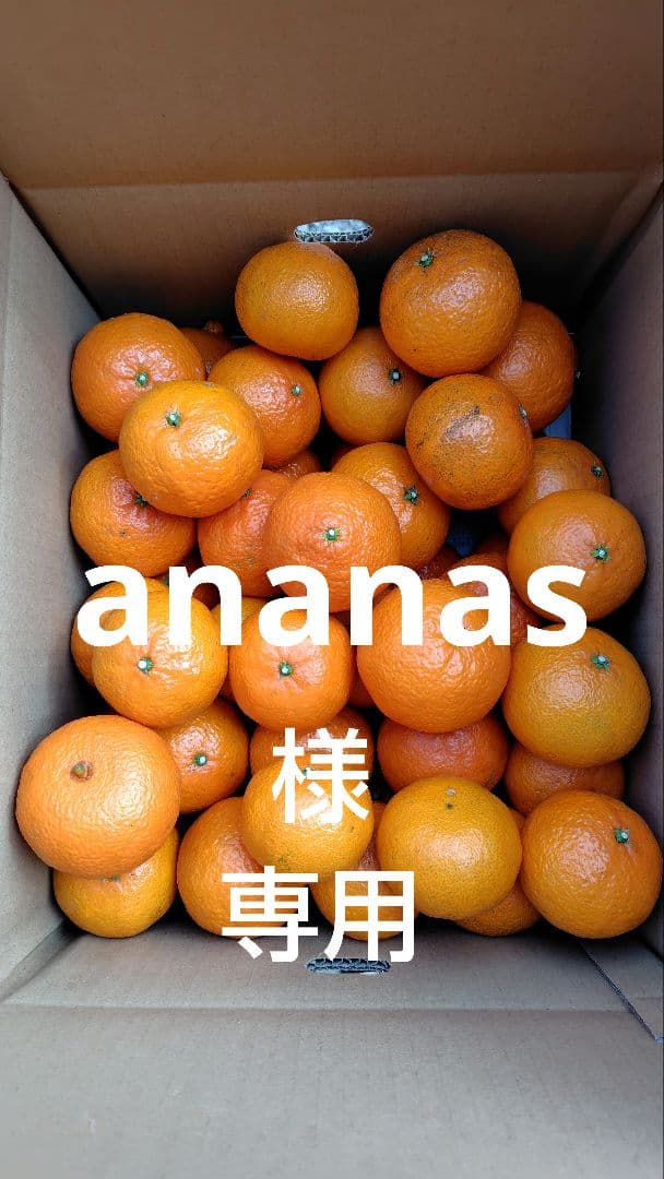 津之輝10㎏(家庭用)ananas