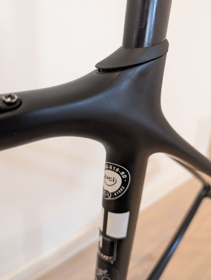 GIANT TCR advanced PRO team Sunweb フレーム