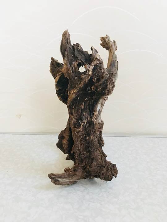 流木 アク抜 15cm