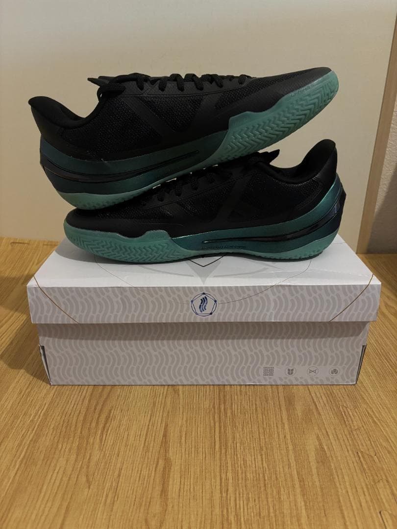 シューズ(男性用) LiNing Liren 5 V2 US11