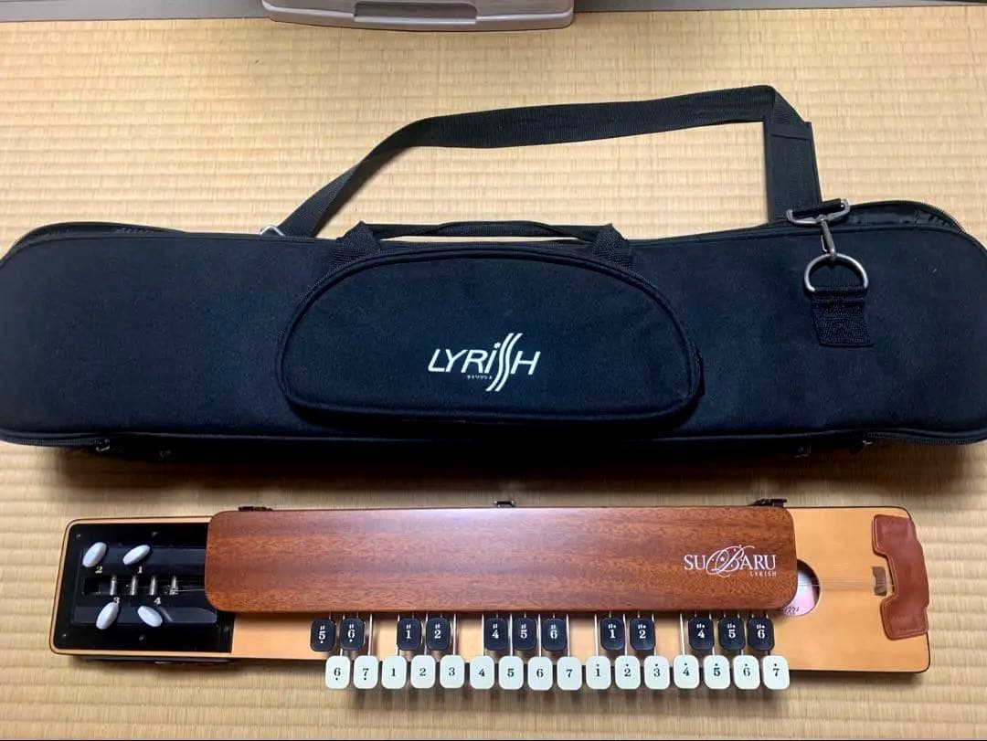 【送料込】大正琴 ライリッシュ スバル　ソプラノ